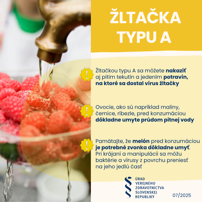 ltaka-2025---drobne-ovocie