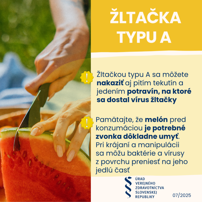 ltaka-II-2025---melon