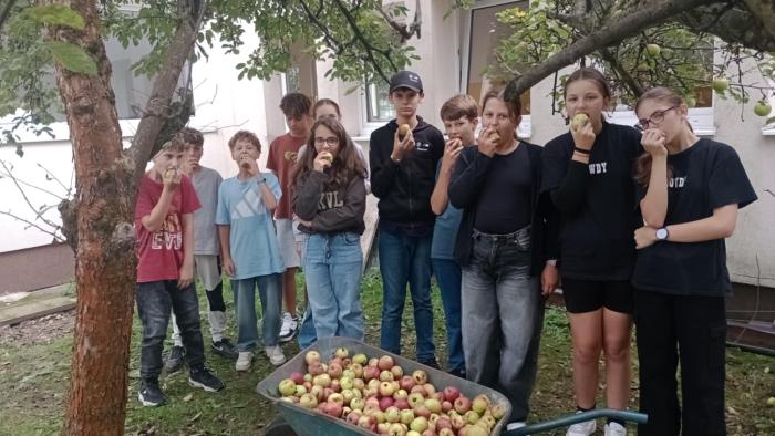 0803572c-ff1c-4590-8c96-3d642046011f